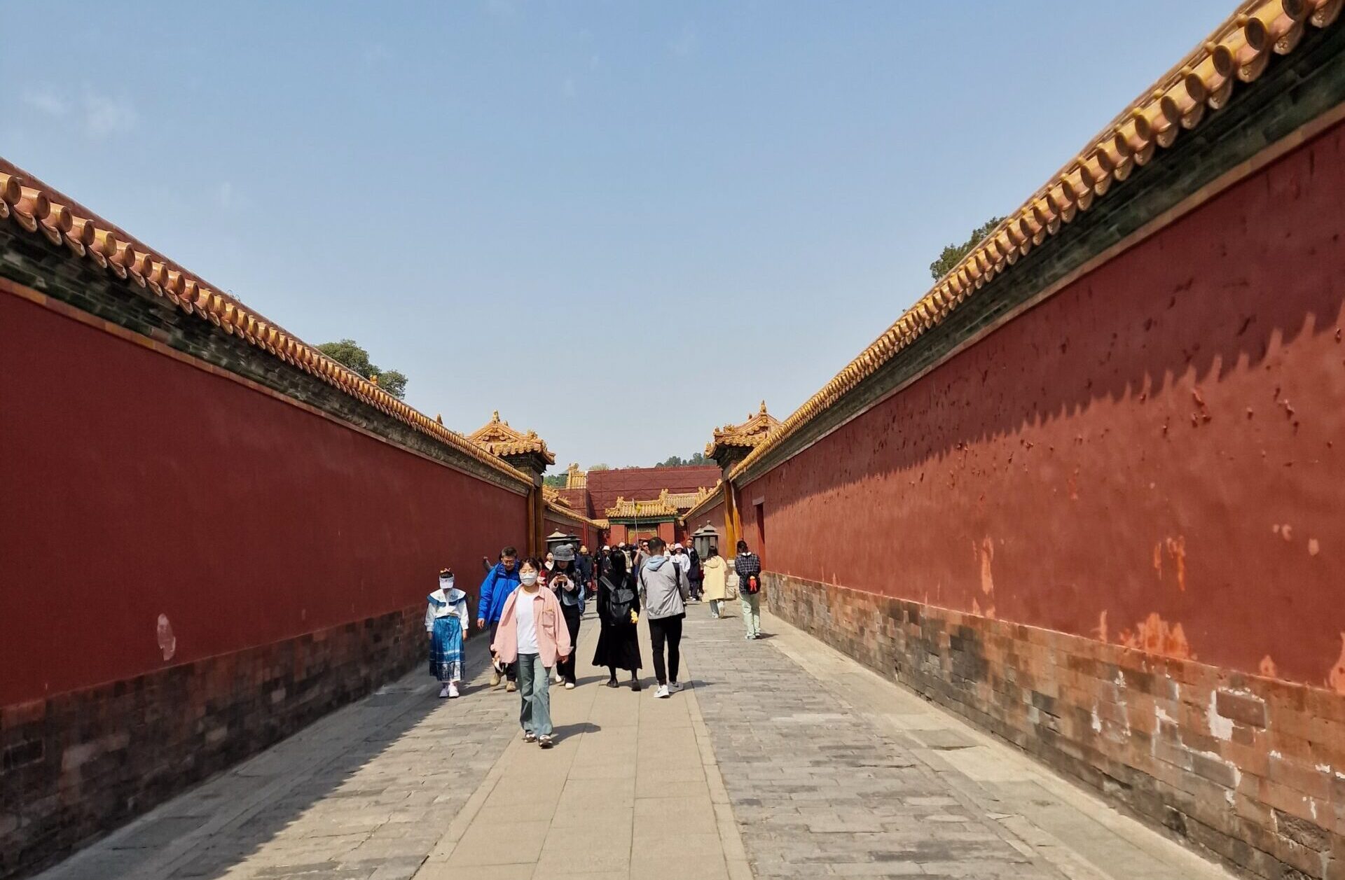 Path to product management